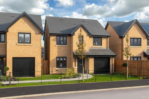Showhome Photography