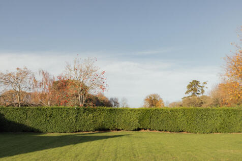 320590 - Leo, Stanhoe-7.jpg