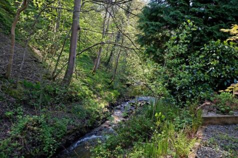 Adjacent stream and woodland