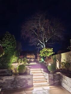 Night Shot