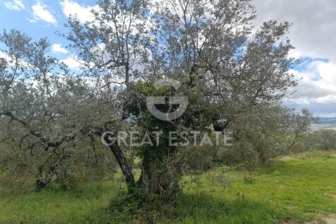 Panorama e Particolari