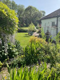 Vendor supplied garden shot