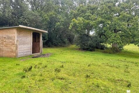 WhatsApp Image 20250910 at 144634.jpg