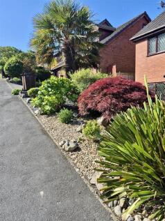 garden 8.jpg