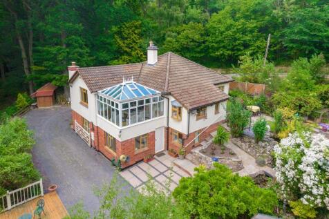20240701-DJI_0066.jpg