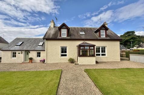 Wellingtonia and Little Wellingtonia