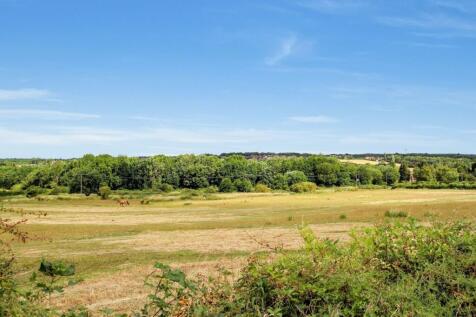 8180 T202601230953.jpg