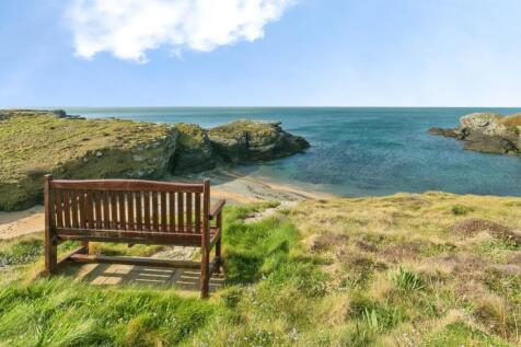 Bench View