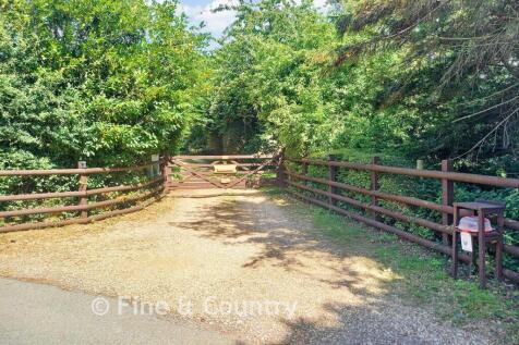 Driveway / Entrance