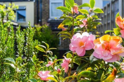 External Lifestyle Photograph