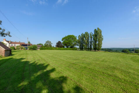 Lawn