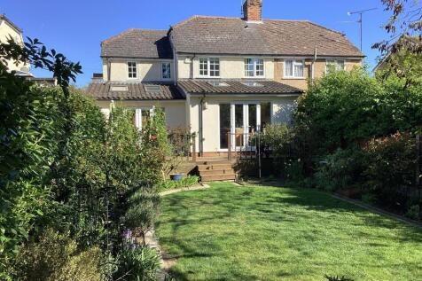 owners new garden.jpg