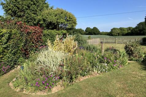 Vendors own images (8).jpg