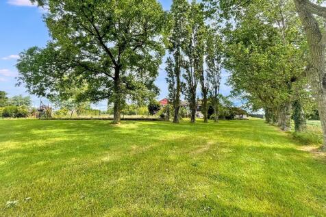 rear shot 3 (Portal Size).jpg