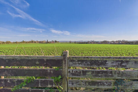 CAM04968G0-PR0101-STILL020