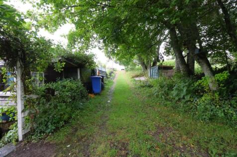 Access Road.JPG