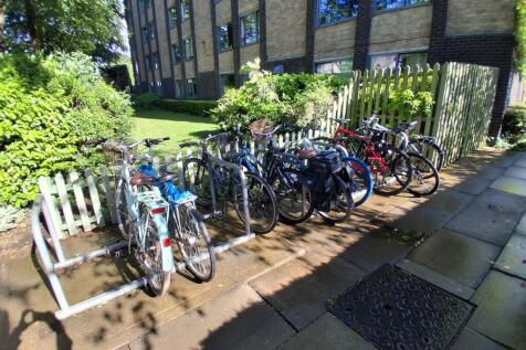 Bike Rack