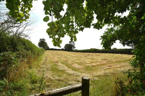 Meadow Behind Gar...