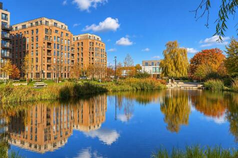 View From Pond