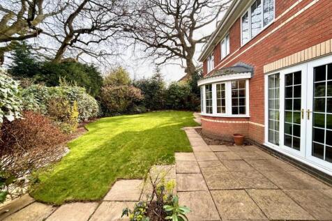 32fb9404-5d89-490f-8469-c809e1bf5d0image 5.jpeg