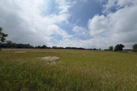 Field View