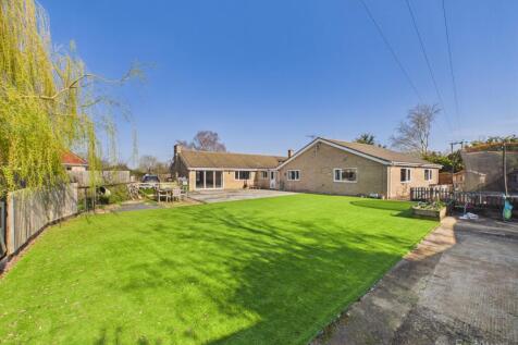 Garden- Mark Stephens EweMove Newmarket and Soham