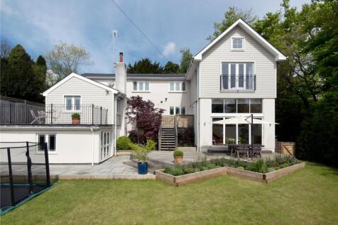 Rear Elevation