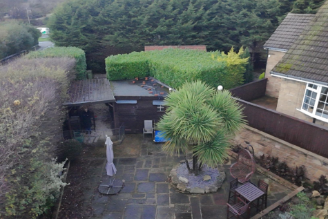 temp_image_for_default_share (1).png