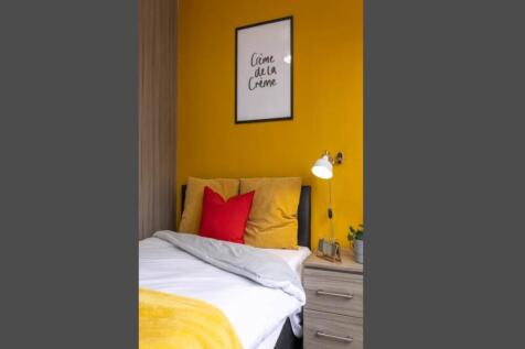 7H4A8786-Enhanced-NR