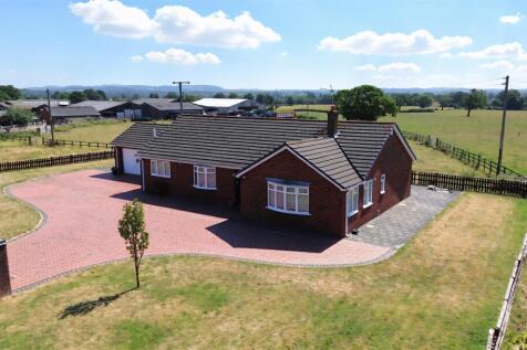 DJI_0041.JPG