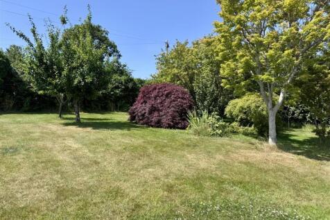 IMG_7936(1).jpeg