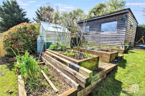 Veggie Patch