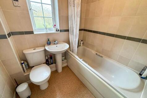 tlc_9af3d428-9fc0-409f-a478-34f2552d15b5_eb5ccda.j