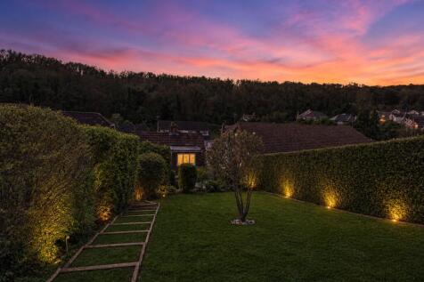 rear garden twilight 3