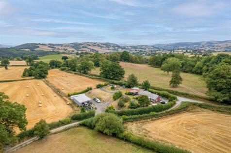 DJI_0252.jpg