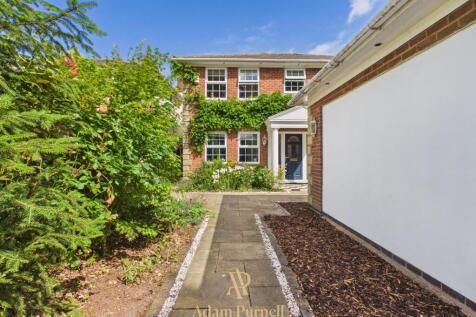 Property Image 41
