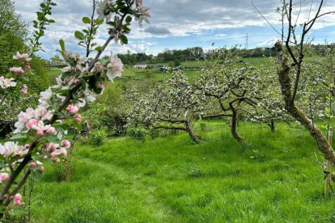 Greenmount Orchard