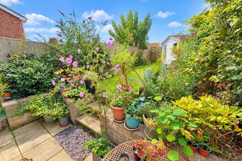 Garden 2