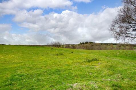 Pastureland
