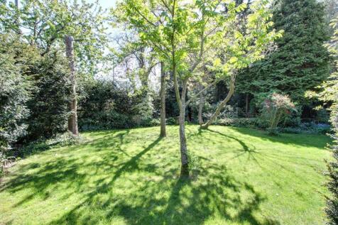 Property Image 60