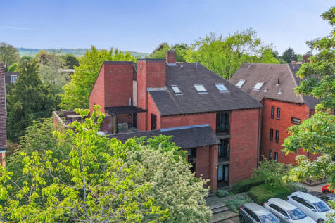 Elevated View
