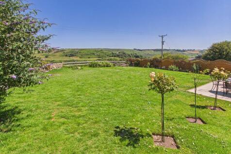 Garden and view