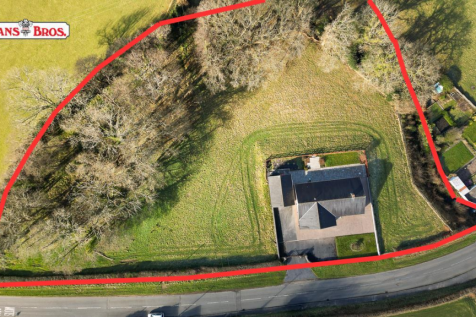 Untitled design (1).png