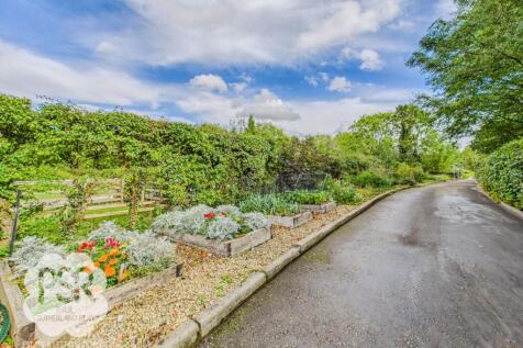 Vegetable Growing Patch