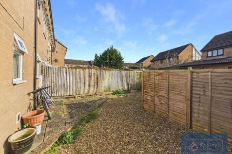 Back garden