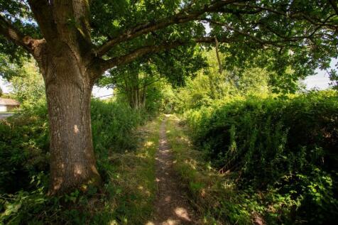 Henfield Common-4.jpg