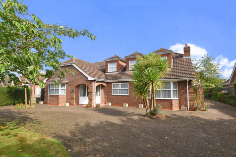 Copy of Copy of Untitled Design (28).png