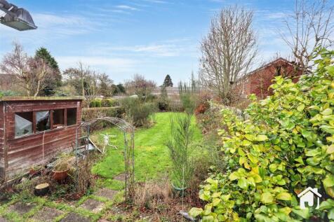 IMG_8228.jpg