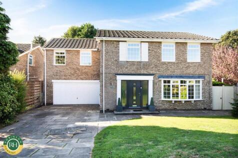 Property Image 35