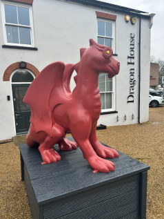 Patch The Dragon